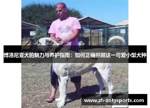 博洛尼亚犬的魅力与养护指南：如何正确照顾这一可爱小型犬种